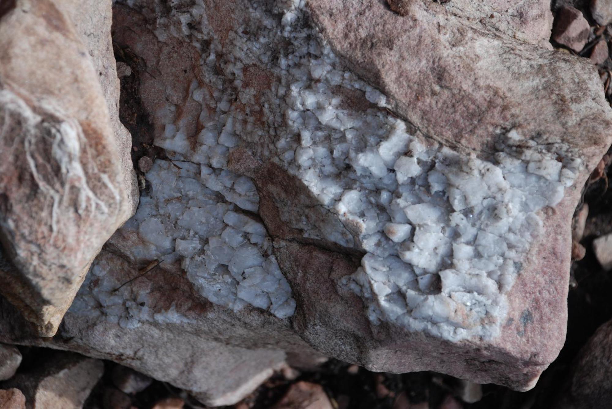 12 - Fulufjellets Nasjonalparker - Natur-, Dyre- Og Fugleopplevelser Ljordal Ngoại thất bức ảnh